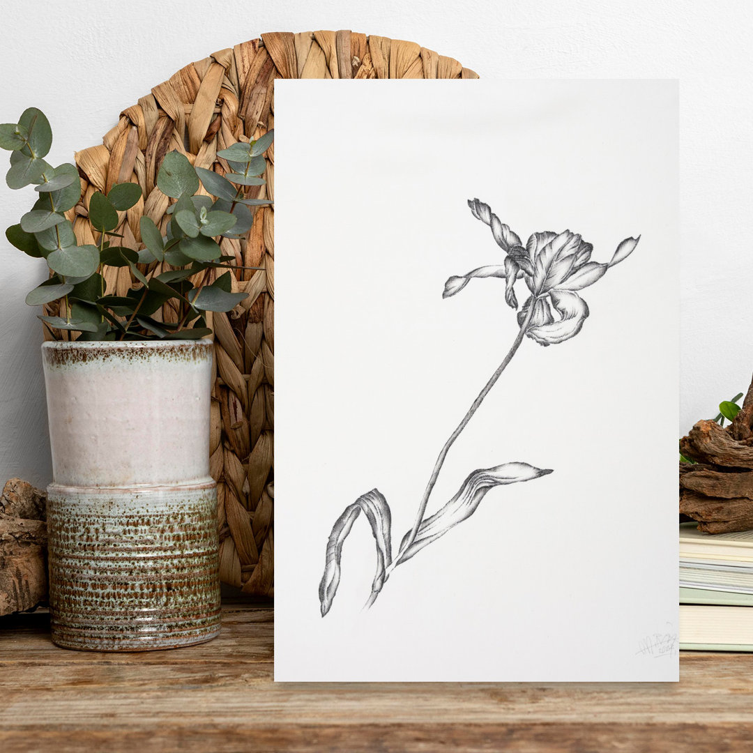 Contemporary Art Colorful Contemporary Delicate Rose Flower Nature Wall Art