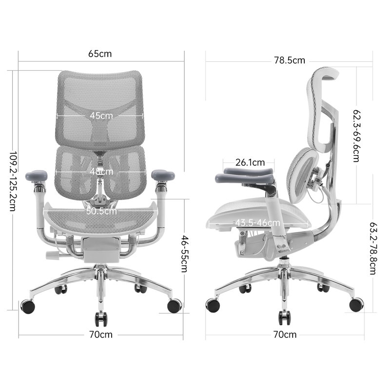 Ergonomic Office Chair, with Dual Dynamic Lumbar Support, 6D Coordinated Armrest, Light Grey/Silver, Grey