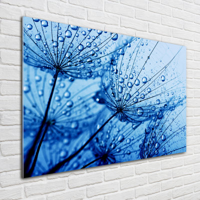 Glass Print Wall Art 100X70cm Image Printed On Glass Decorative Wall Picture Behind Toughened / Tempered Safety Real Glass For Kitchen & Living Room Theme:Dandelion Seeds