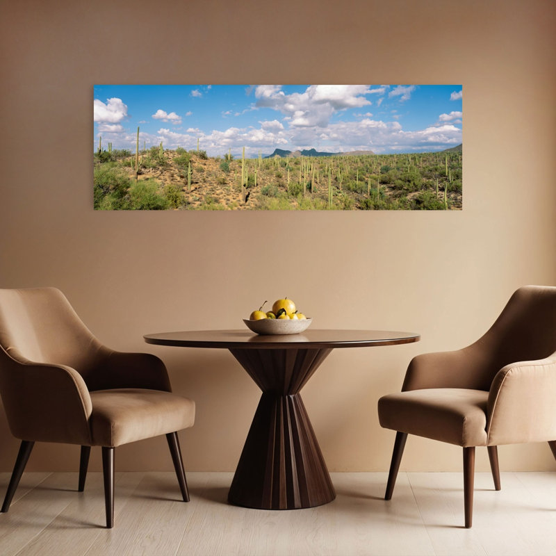 Saguaro National Park, Tucson, Az, États-Unis, H 16 po x l 48 po
