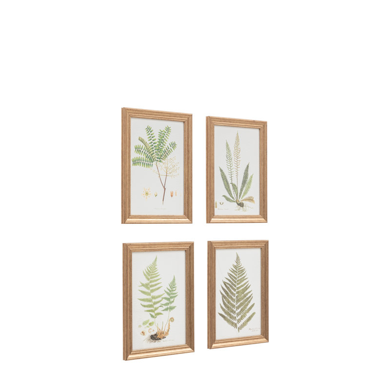 Assorted Ferns Framed Art