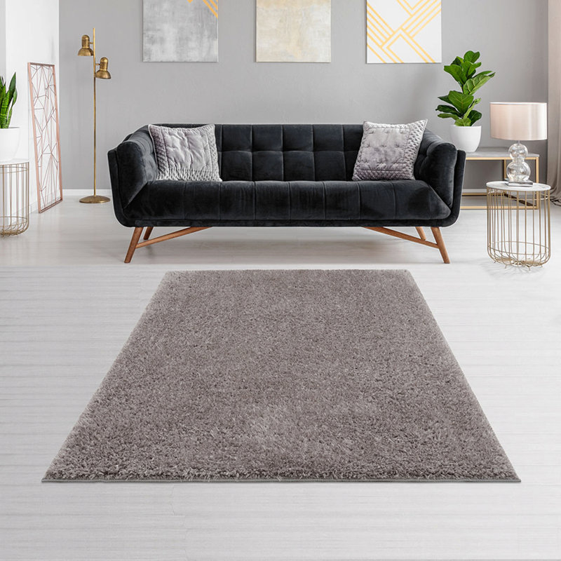 Tapis à poils longs en polyester super doux, Rectangle 3 pi 11 po x 5 pi 11 po