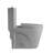 One-Piece Toilet, Tornado Flush, Dual 1.1/1.6 GPF, Elongated Bowl, Soft Close Seat, Siphonic S-Trap 12", ADA Height 17", Light Gray-123166005