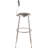 Backed Adjustable Height Ergonomic Lab Stool with Footring