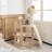 Dille 64'' H Cat Tree