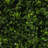 20'' Faux Onion Grass Plant