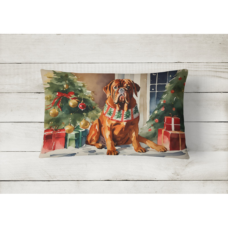 Other/No Pattern Outdoor Throw Pillow