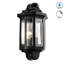Rozier Satin Black Outdoor Wall Lantern