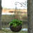 Caydence Metal Bracket Plant Stand