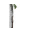 150 cm H Faux Plant