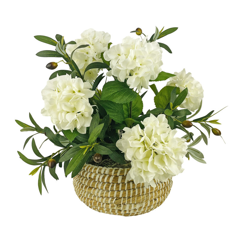 Hortensia blanc mélangé de 20 pouces et olive dans un panier blanc bas