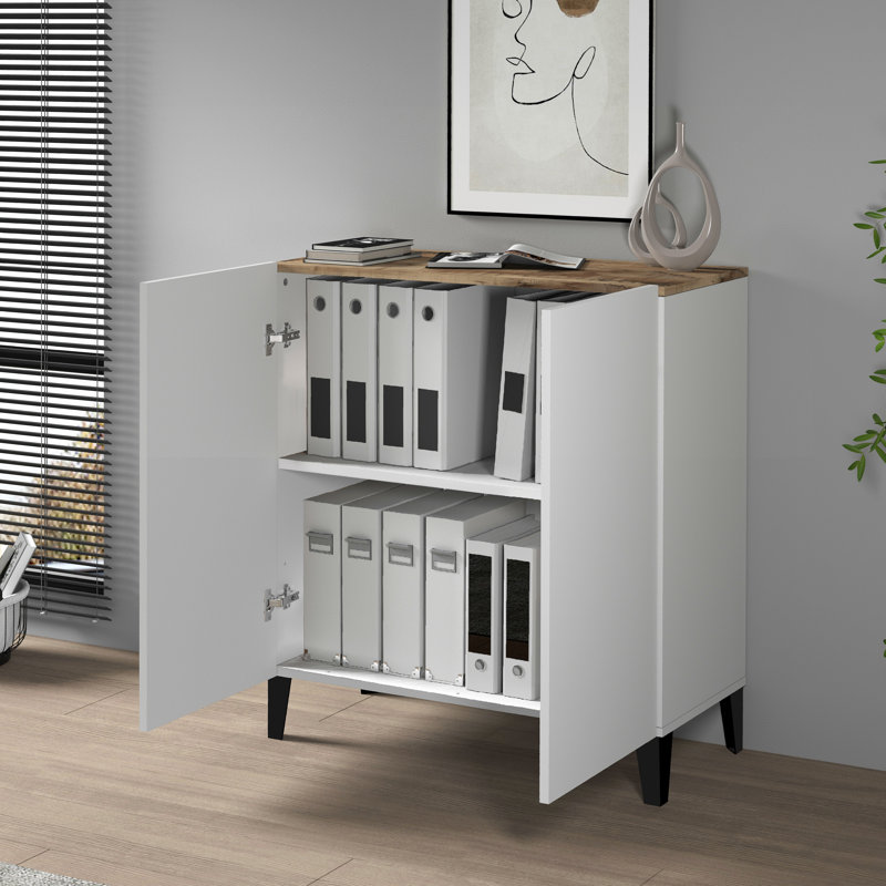 Ryung 2 -Door 1 -Shelf Storage Cabinet, White/Brown