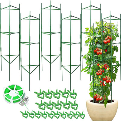 Paquet de 6 cages à tomates pour jardin et pots, support de treillis pour cages de tomates résistant à la rouille