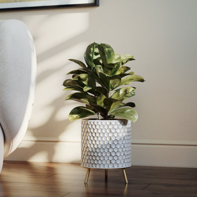 Cilka Metal Pot Planter