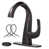 Oil Rubbed Bronze