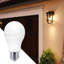 A60 Globe LED E27 12W Bulb 5PK-61471547