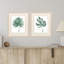 Plant Press S/2 Print by Popp Propac Images
