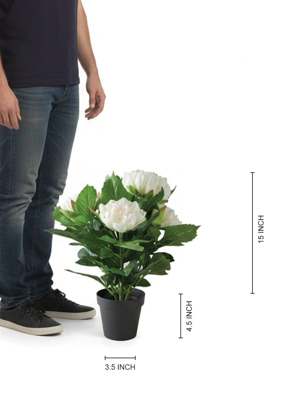  Artificial White Peony Potted Plant – Potted Peony With Realistic Blooms, Maintenance-Free Indoor Floral Décor For Home, Office, Shelf & Tabletop Styling, 5" Diameter & 19.5" Tall