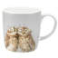 Wrendale Designs, Coloured - The Twits Owls Large Mug