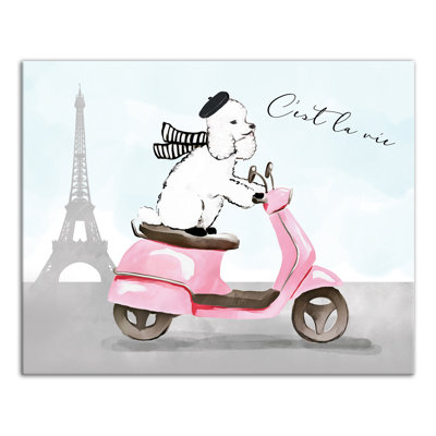 Art sur toile caniche french sassy Boston