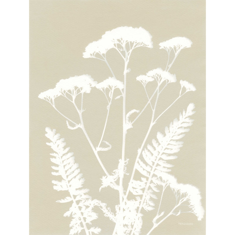 " Alpine Flower I " Painting Print, 16" H x 12" W  
