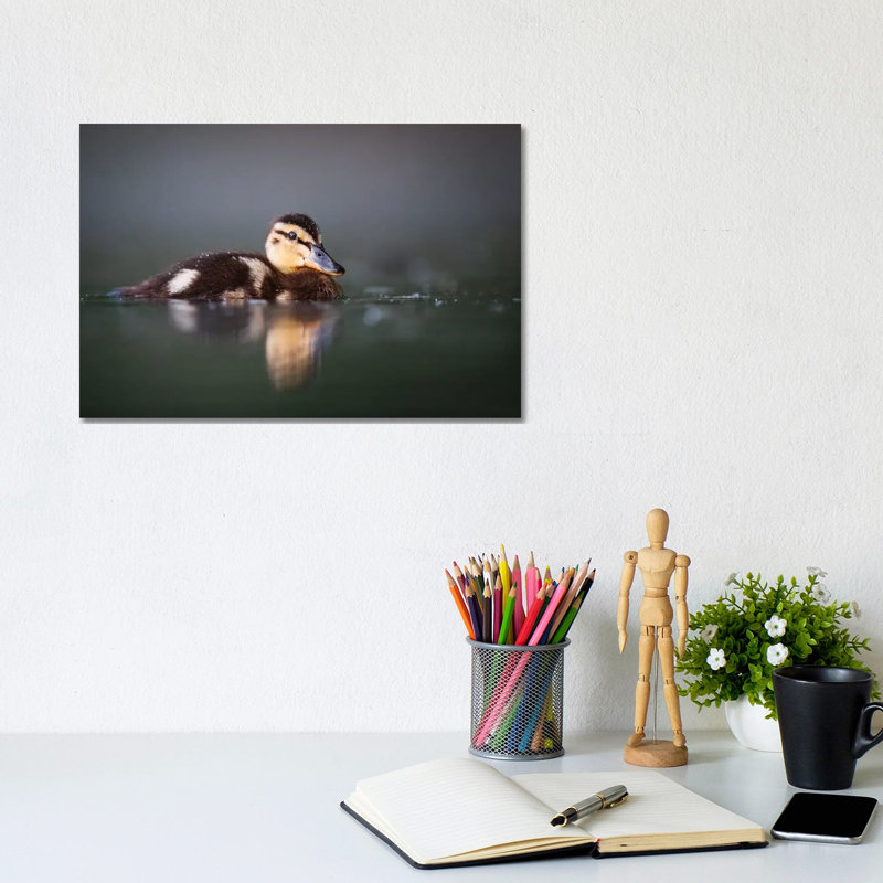 Duckling 1 Piece Wrapped Canvas Wall Art, 20.32cm H x 30.48cm W x 1.905cm D