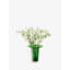 Victoria Glass Candle Holder-128839601-128839615