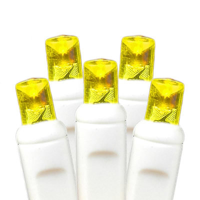 LED Net Lights