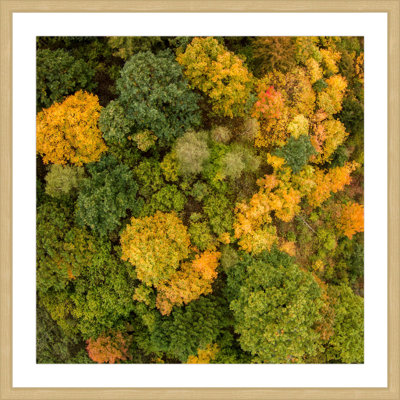 Karolis Janulis - Single Picture Frame Print