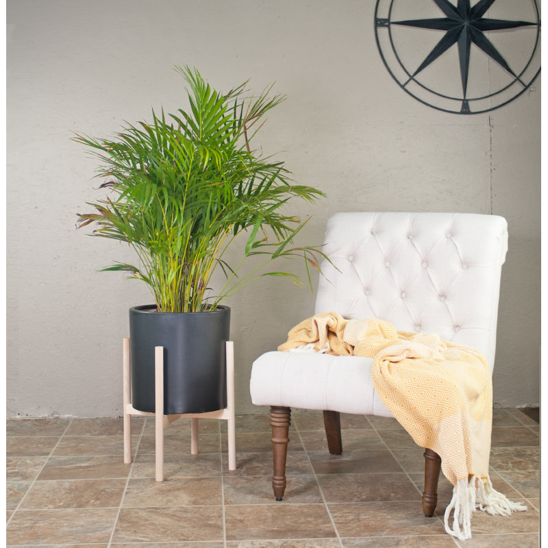 Handmade Pot Planter, Black/Ash Natural, 23" H X 15.5" W X 15.5" D