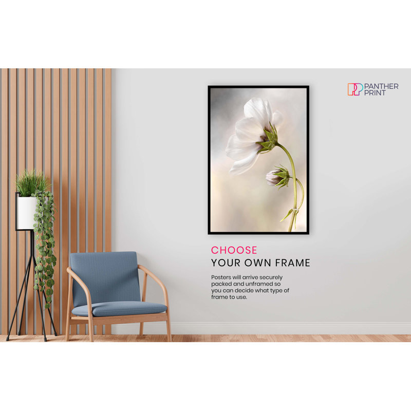 Cosmos Flower - No Frame Print, 31cm H x 20cm W