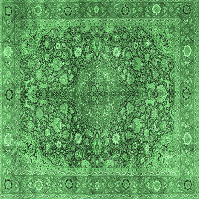 Washable Oriental Indoor Rug