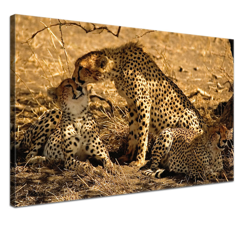 Print on Canvas, 100cm H x 150cm W x 4cm D