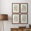 «Soft Shape I», ensemble de 4 reproductions de cadres photo-1393158490-1393158560