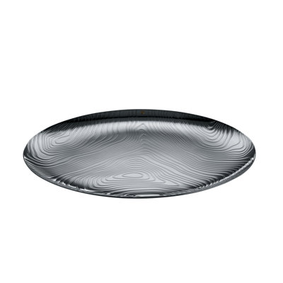 Stainless Steel Tray