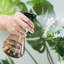 Bouteille d'eau vaporisateur d'arrosage 500 ml-132052837