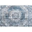 Riviera Oriental Area Rug in Blue-75232950