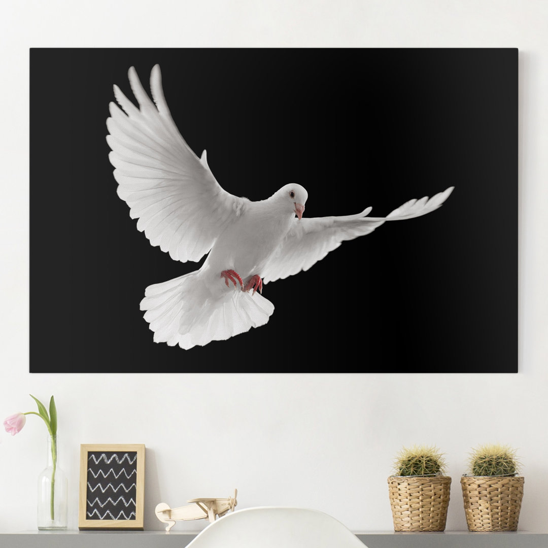 Leinwandbild Peace Dove