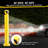 Safety Bollard Post-96003524