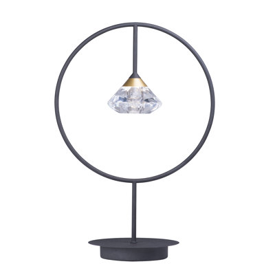 Barrera Metal Novelty Lamp