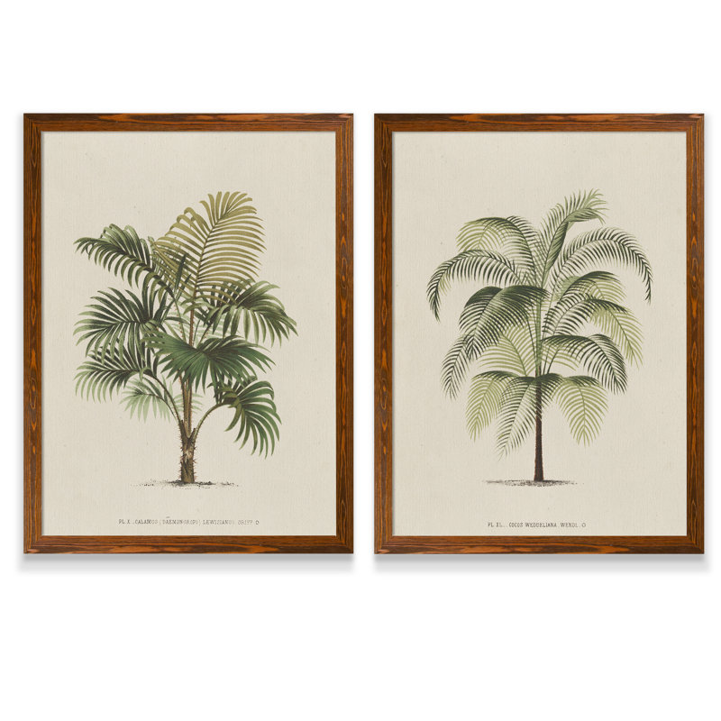 " Les Palmiers III " by Vincent Van Gogh 2 - Pieces, 24" H x 18" W, Espresso, Picture Framed Canvas
