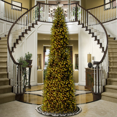 Levit Pre-Lit Fir Christmas Tree