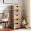 Commode décorative 5 tiroirs Painswick-546786519