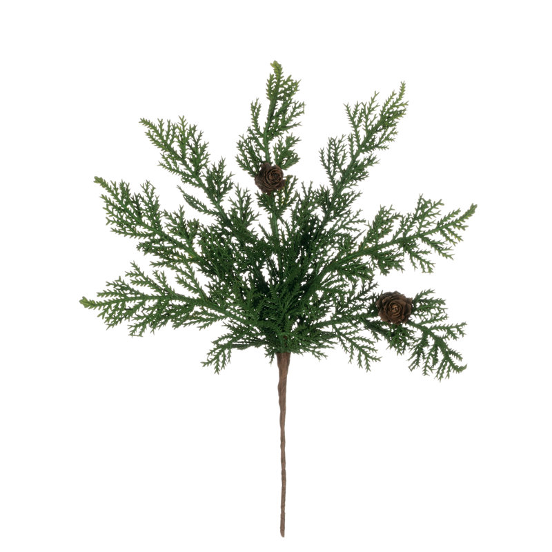 Plante à feuillage Leatham Cypress