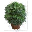 Palmier en pot à fleurs 24" artificiel