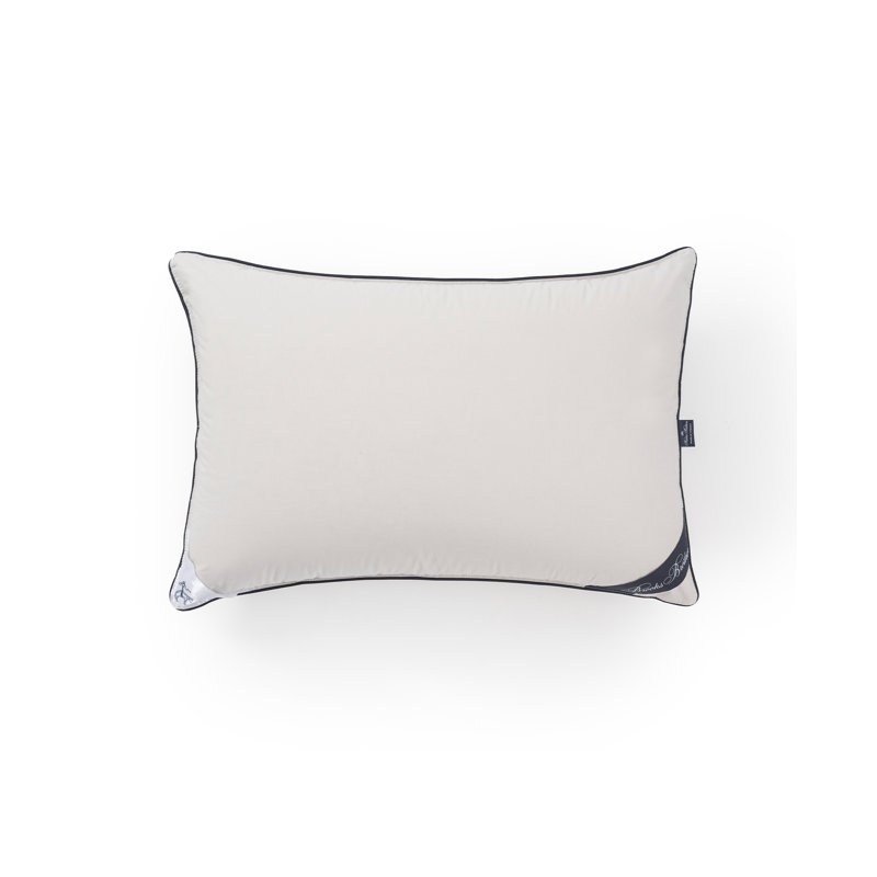 Coussin Goose, 20 po x 30 po