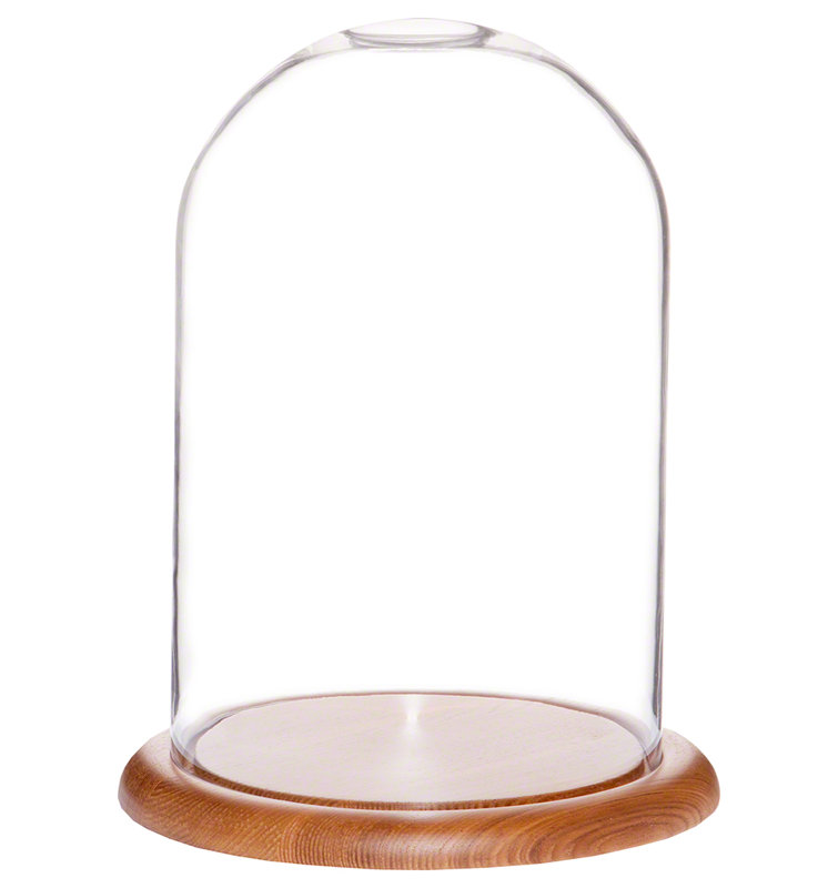 Jenett Glass Display Dome Cloche, Oak Veneer Base, 12" H x 8" W x 8" D