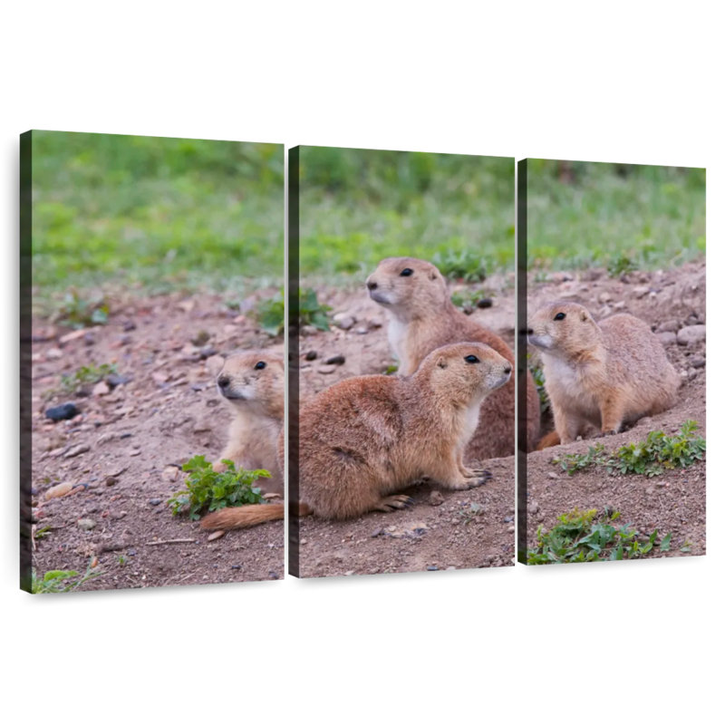 Brampt Forest Brampt Nursery, 14" H x 23" W