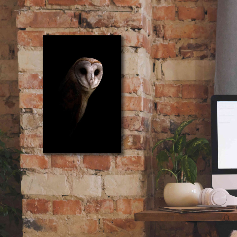 «Owl» par Incado, estampe numérique sur toile, H 18 po x l 12 po x P 0,75 po