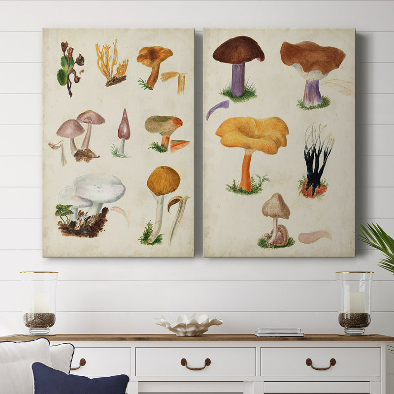 Toile tendue avec châssis d'espèces de champignons VI-Premium - prête à être accrochée, H 60 po x l 80 po